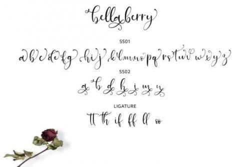 Bella Berry Font 5