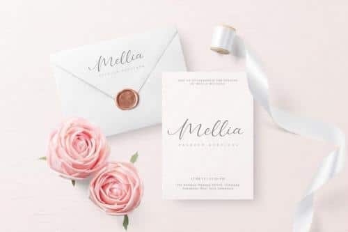 Bellany Modern Script Font 1