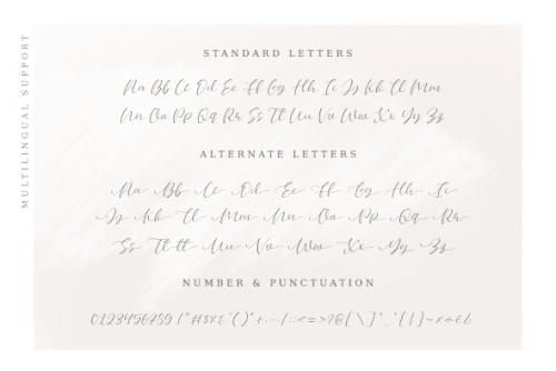 Bellany Modern Script Font 6