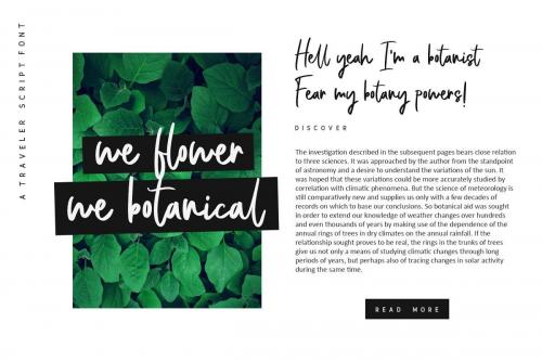 Bellevue Traveler Script Font 4