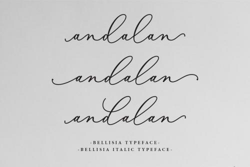 Bellisia Script Font  2