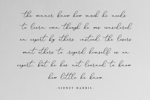 Bellisia Script Font  6