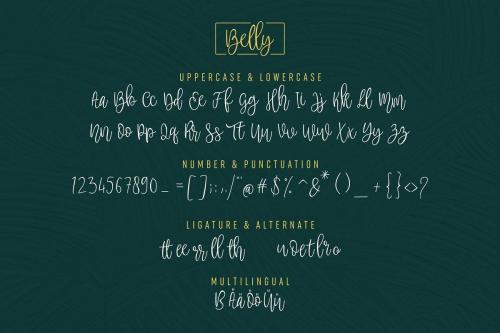 Belly Beauty Handwritten Font 4
