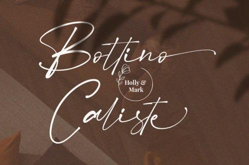 Betmo Calligraphy Script Font 4