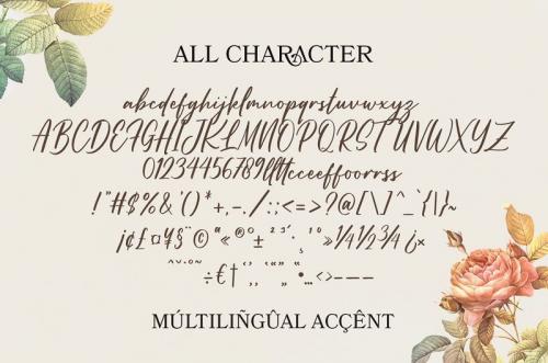 Better Land Classy Script Font 2