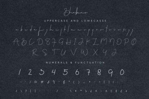 Bhalbino Signature Font 5