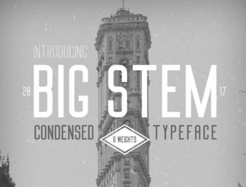 Big Stem Font