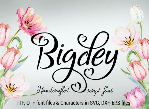 Bigdey Font
