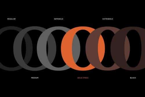 Blaak Serif Font Family 6