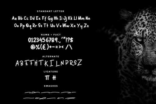 Black Brutal Brush Script Font 2