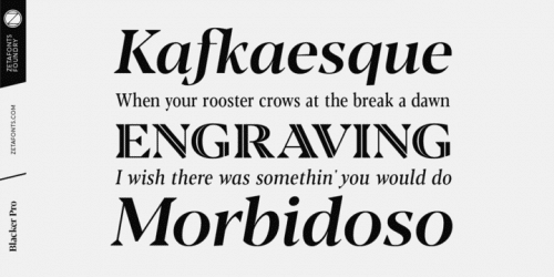 Blacker Pro Font Family 9