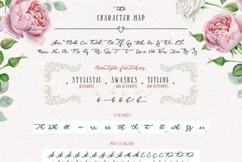 Blessed Script Font Free  11