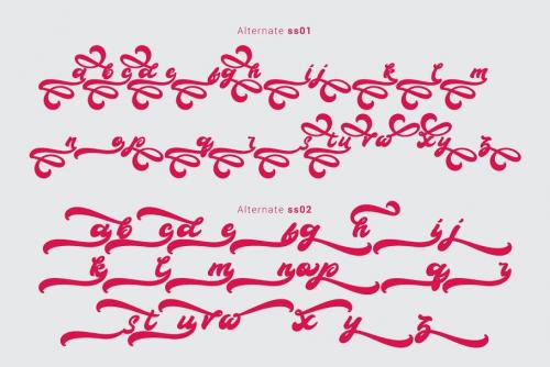 Boldie Script Font Free 8