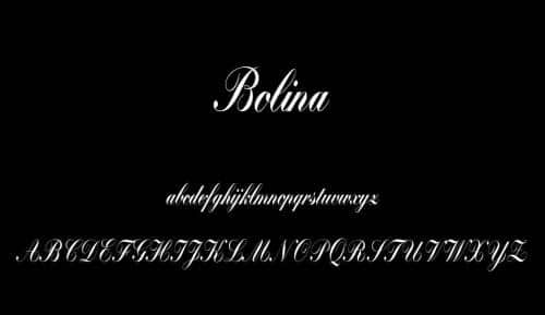 Bolina Calligraphy Script Font 2