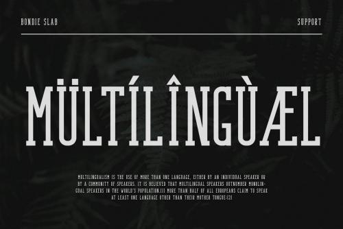 Bondie Slab Serif Font 12