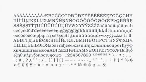 Bookman Slab Serif Font 2
