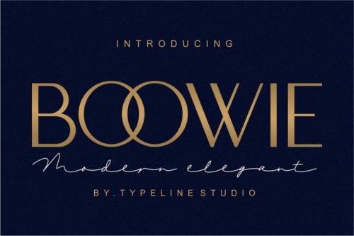 Boowie Sans Serif Font