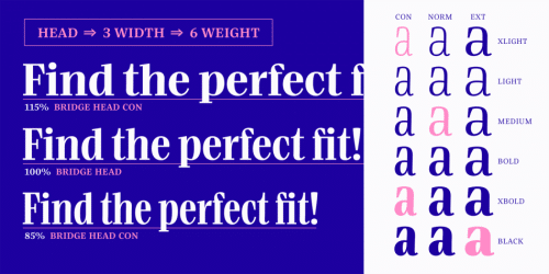 Bridge Head Font Family 9