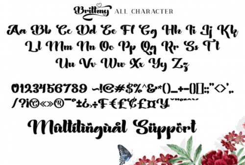 Brithny Script Font 8