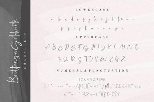 Brittanya Goldenite Handwritten Font 8