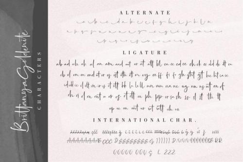 Brittanya Goldenite Handwritten Font 9