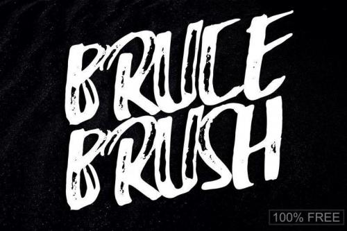 Bruce Font