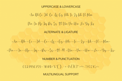 Buttey Honey Calligraphy Font 3