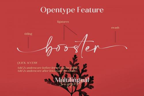 Calton Elegance Font Duo 4