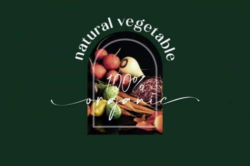 Calton Elegance Font Duo 6