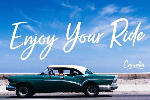 Camellia Script Font Free 1