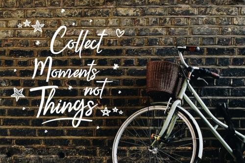 Camellia Script Font Free 4