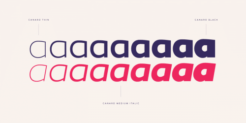 Canaro Sans Font Family  3