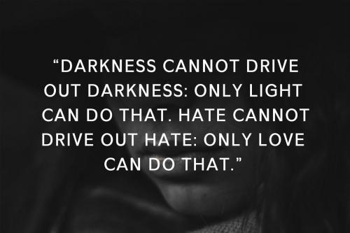 Cansu Sans Serif Font Family 6