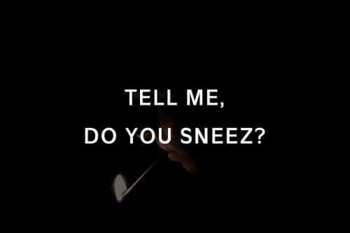 Cansu Sans Serif Font Family 7