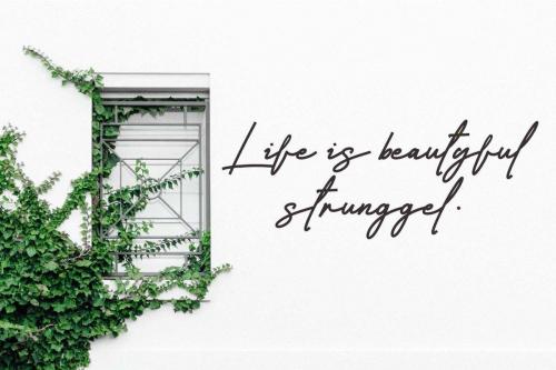 Casablanca Monoline Signature Script Font 2