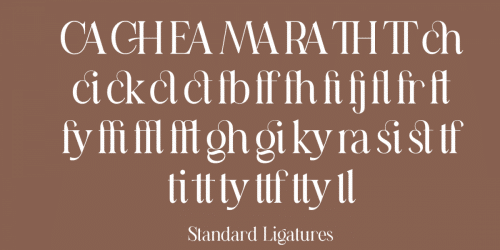 Casanova Elegant Serif Font 8