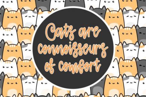 Cattie Cute Script Font 4