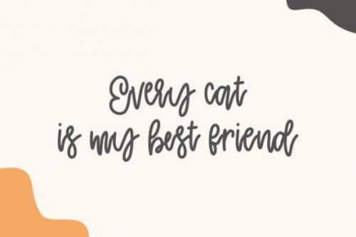 Cattie Cute Script Font 6