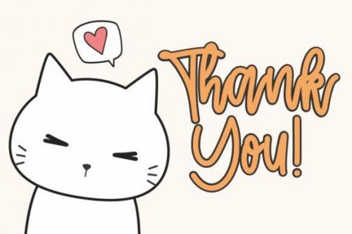 Cattie Cute Script Font 7