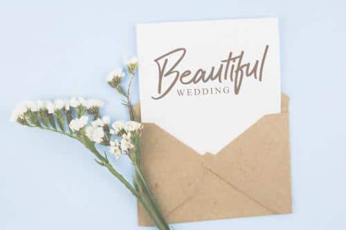 Cattily Calligraphy Font 11