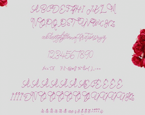 Cecilia-Script-Font-Free-11