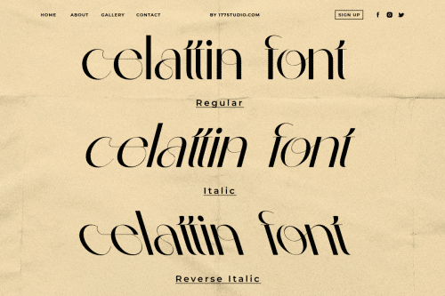 Celattin – Unique Ligature Font 3