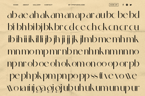 Celattin – Unique Ligature Font 5