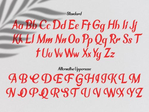 Chameron Typeface 8