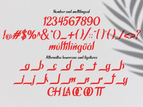 Chameron Typeface 9