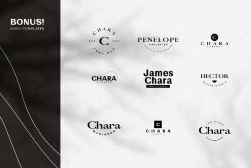 Chara Sans Serif  Serif Font Duo 1