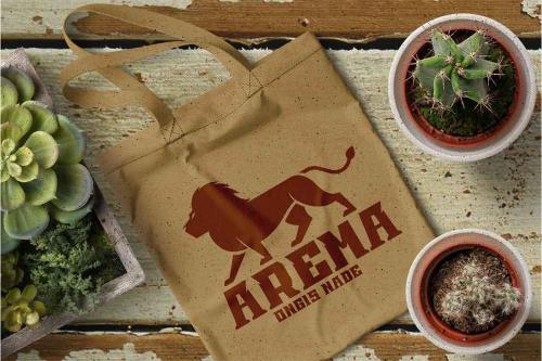 Charles Display Font  6