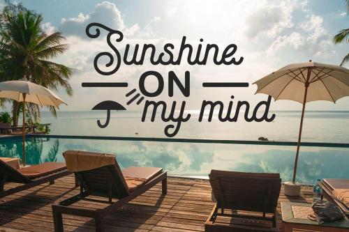 Charlotte Handwritten Font 5