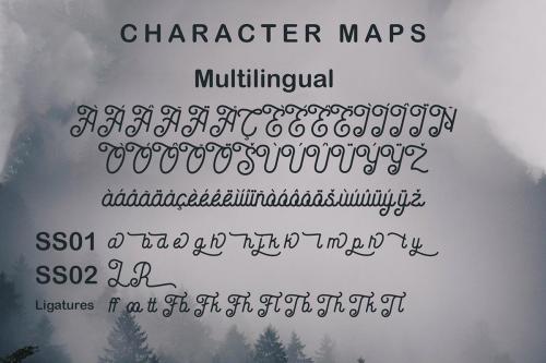 Charlotte Handwritten Font 8