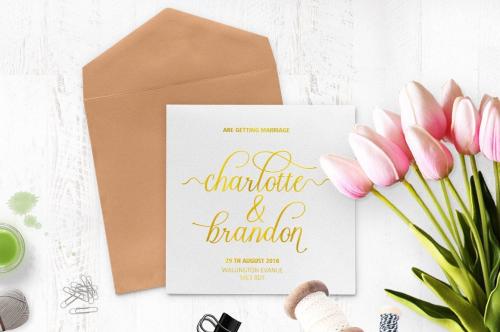Charmington Script Font 2